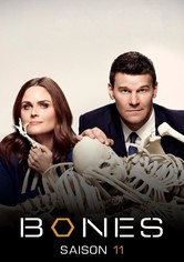 Bones