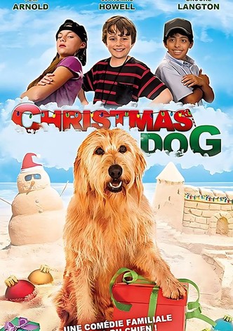 Christmas dog
