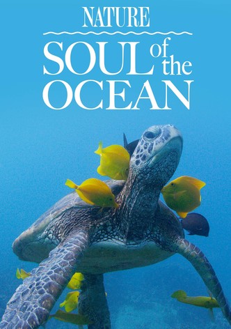 Soul of the Ocean