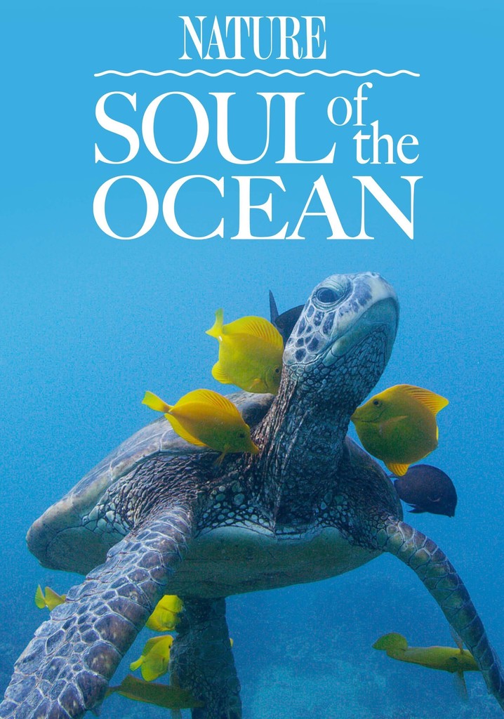 Soul of the Ocean