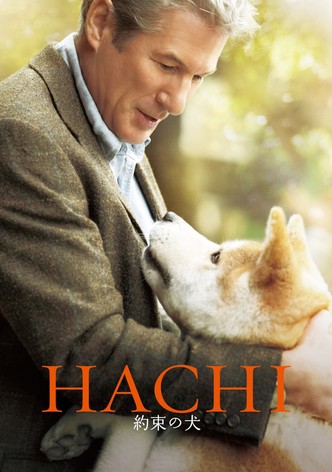 HACHI 約束の犬