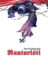 Rautaristi
