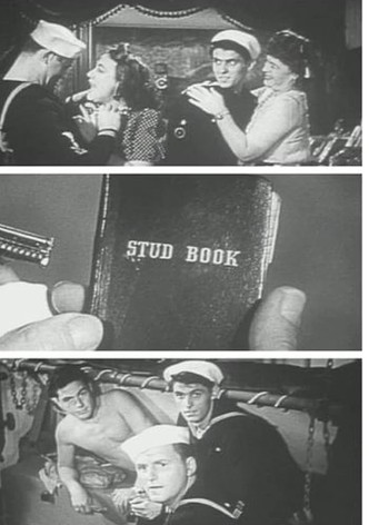 USS VD: Ship of Shame