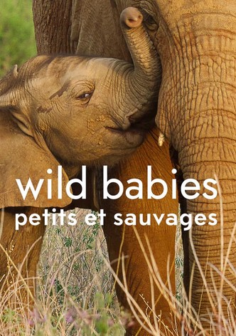 Wild Babies : Petits et Sauvages