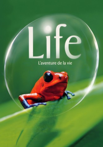 Life, l'aventure de la vie