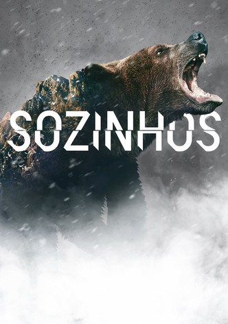 Sozinhos