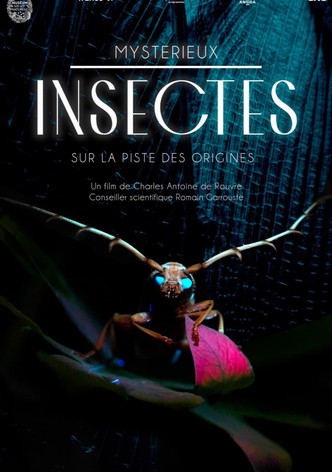 Mystérieux insectes, sur la piste des origines