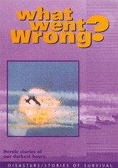 What Went Wrong