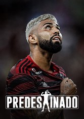 Predestinado