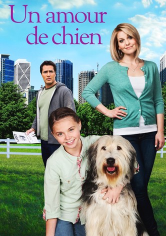 Un amour de chien