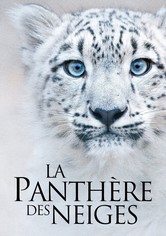 La Panthère des neiges