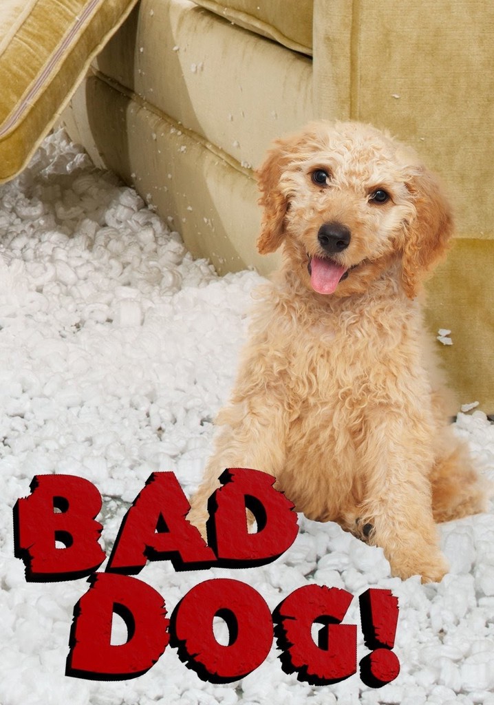 Bad Dog! watch tv show streaming online