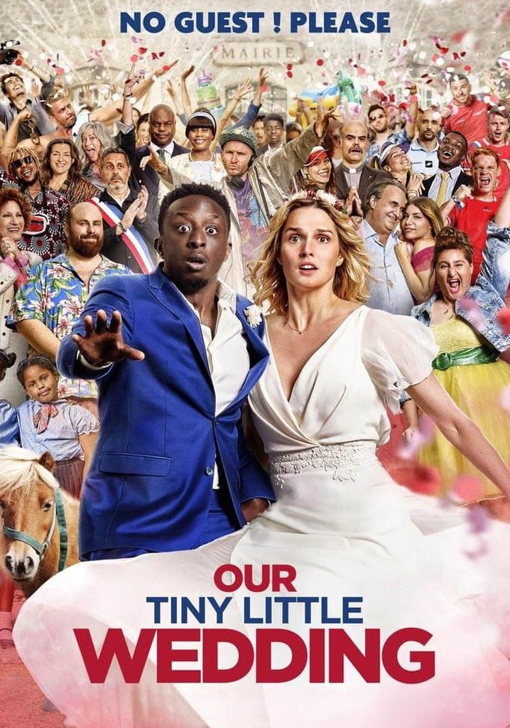 Notre tout petit petit mariage - streaming online
