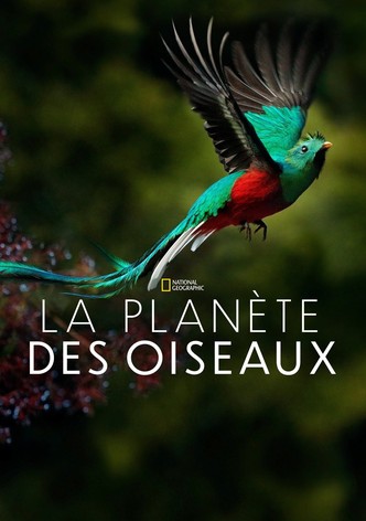 Planète des oiseaux