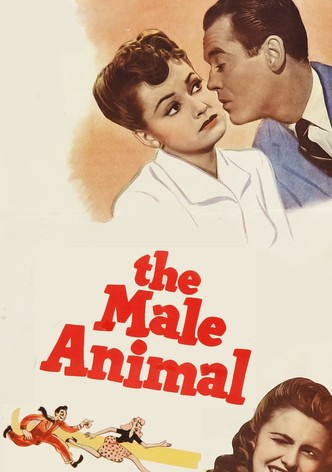 The Male Animal