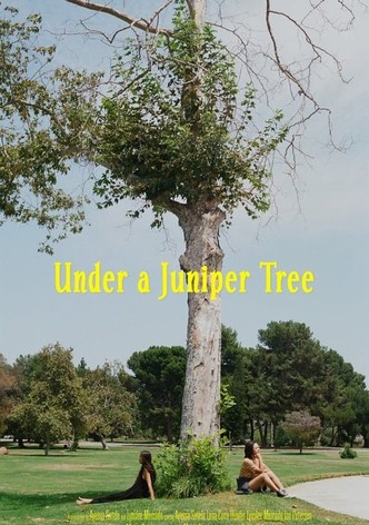 Under a Juniper Tree