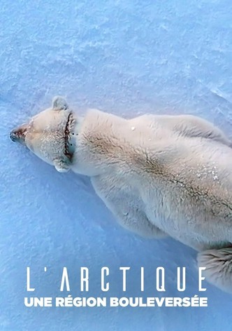 L'Arctique, une région bouleversée