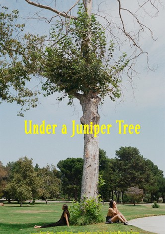 Under a Juniper Tree