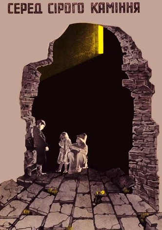 Among Grey Stones