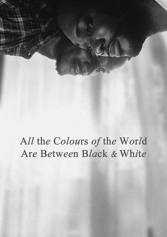 All the Colours of the World Are Between Black and White