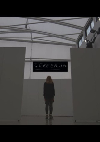 Cerebrum