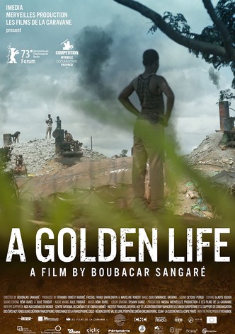 A Golden Life