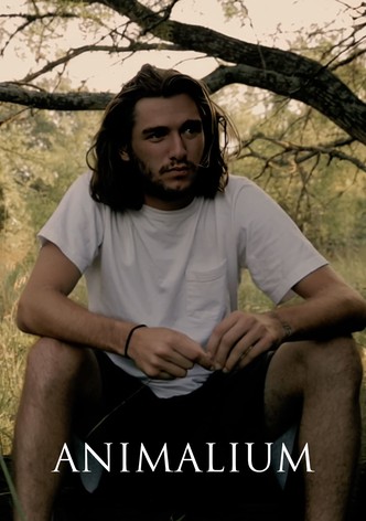 Animalium