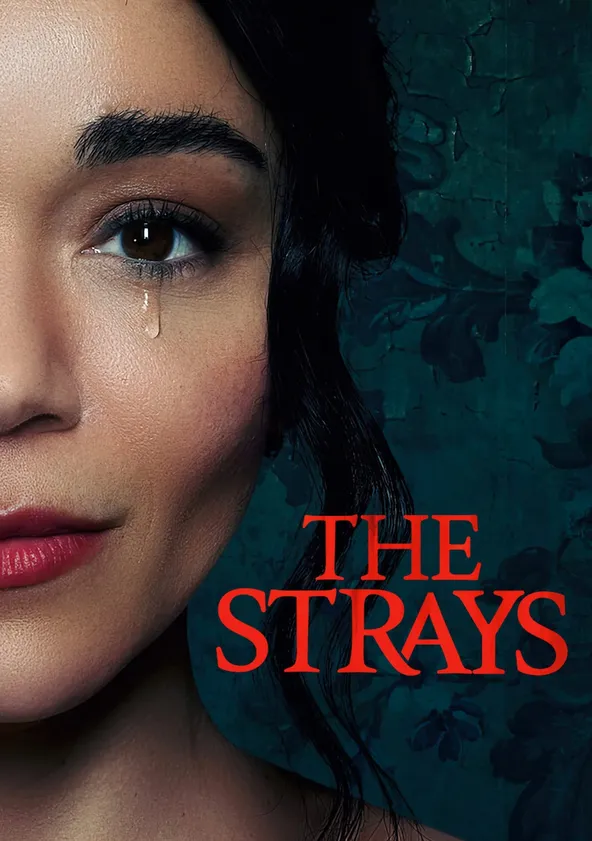 The Strays movie where to watch streaming online