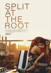 Split at the Root