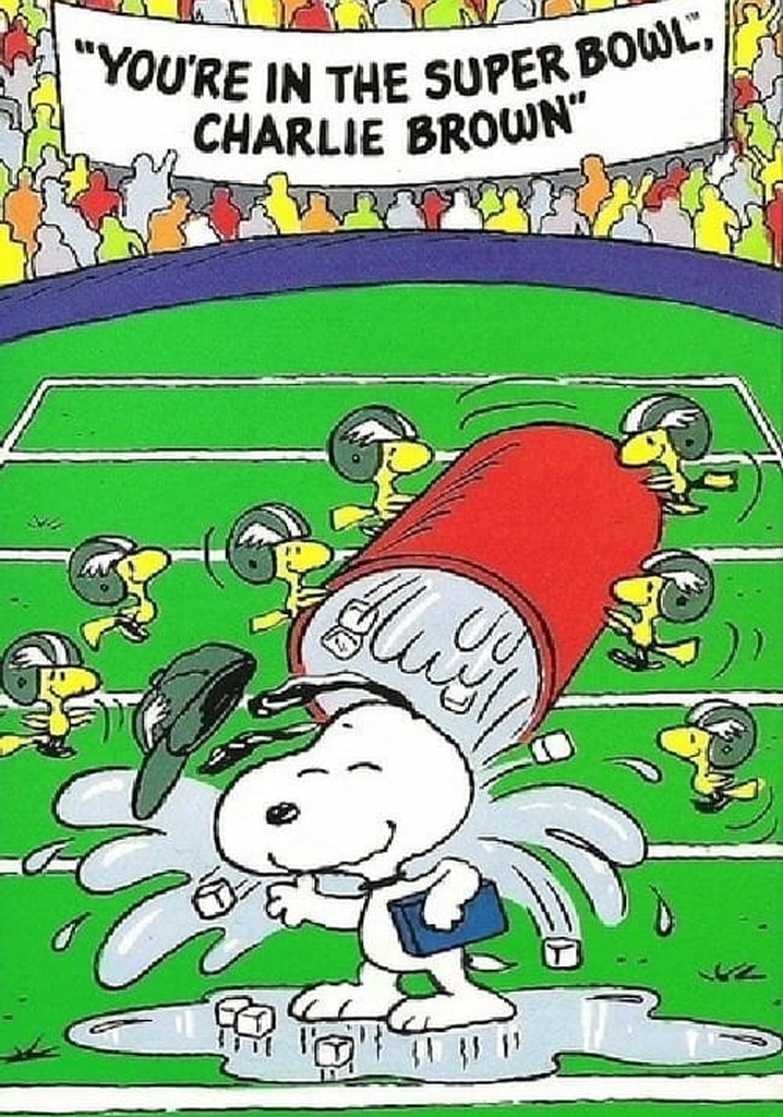 You're in the Super Bowl, Charlie Brown!