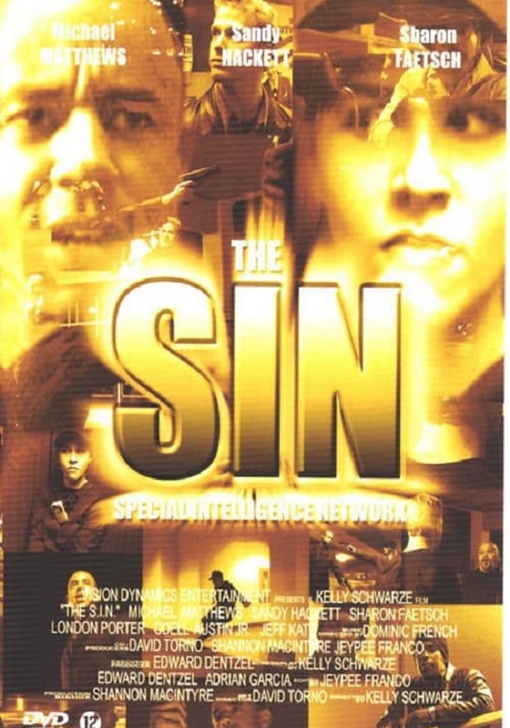 The S.I.N.
