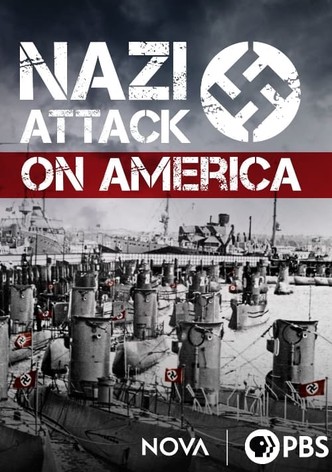 Nazi Attack on America