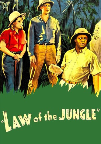 La loi de la jungle