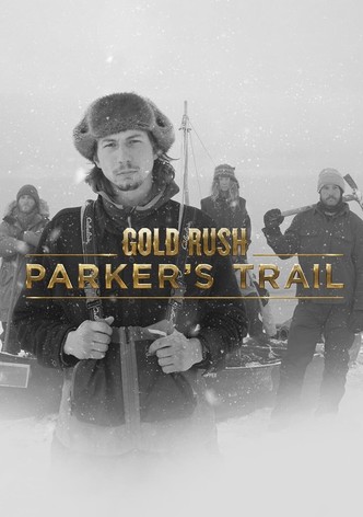 Gold Rush Streamer Wall