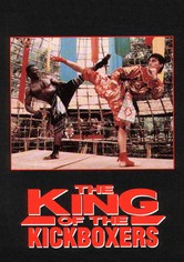 특명 어벤저 4 - 왕중왕