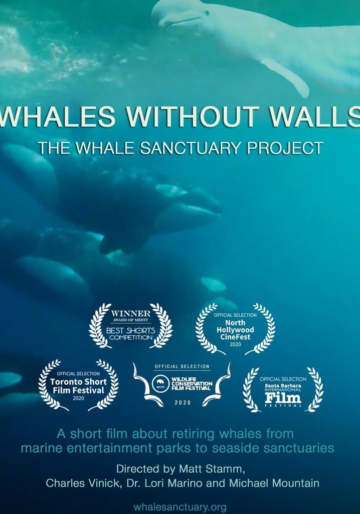 Whales Without Walls