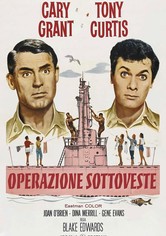 Operazione sottoveste