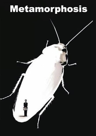 Metamorphosis