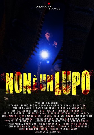 Non è un lupo