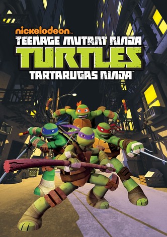 As Tartarugas Ninja (2012) (Dublado)