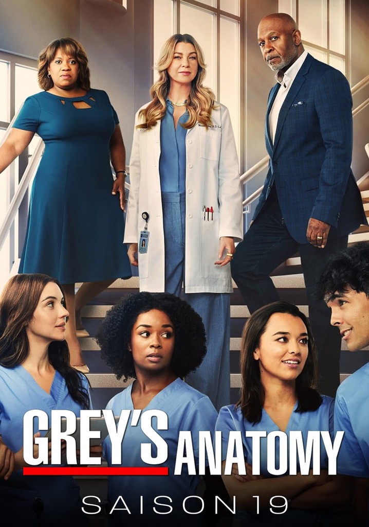 Wo kann ich Staffel 19 Grey's Anatomy gucken?