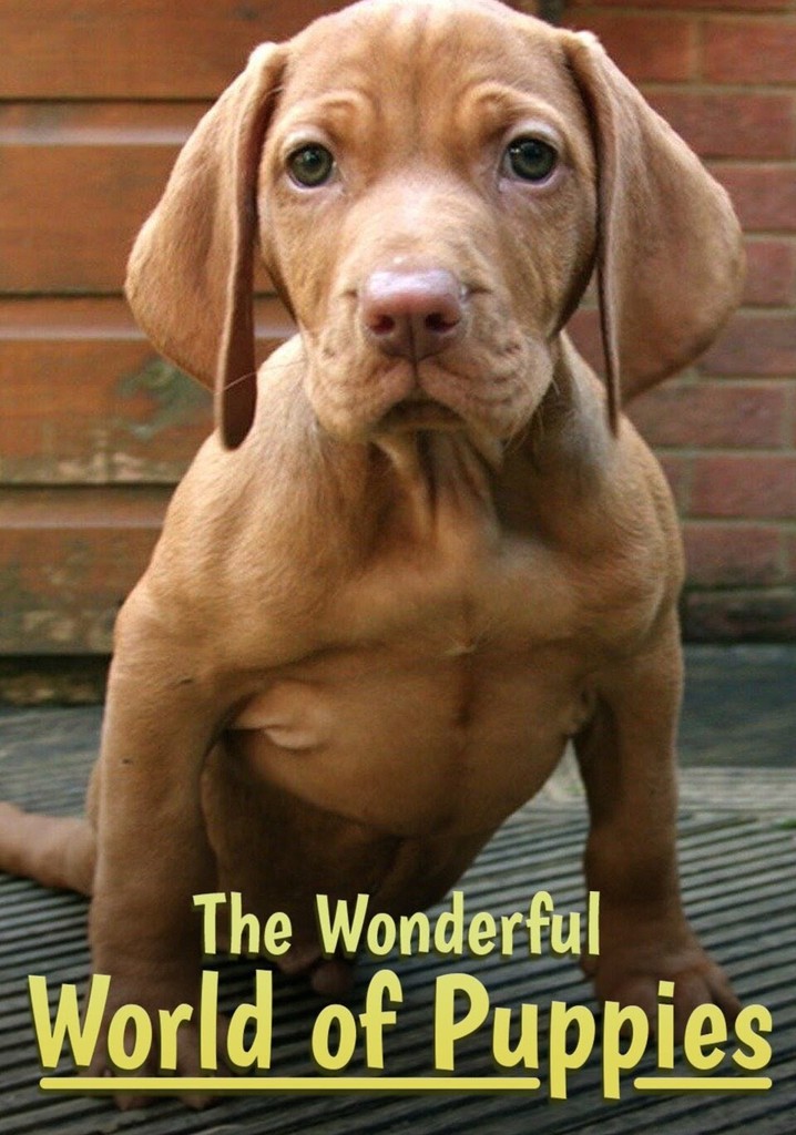 The wonderful world outlet of puppies watch online