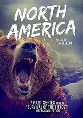 North America - North America