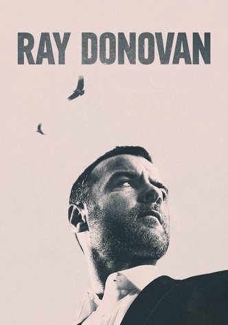 Ray Donovan, la película