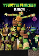 As Tartarugas Ninjas