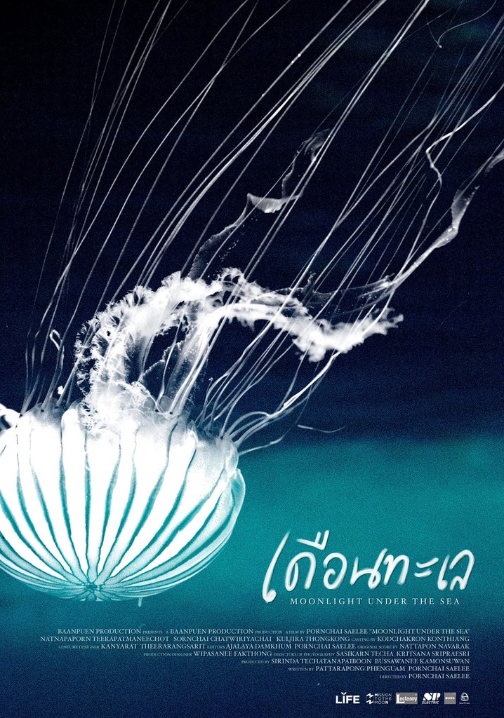 Moonlight under the Sea