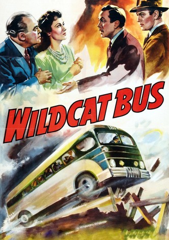 Wildcat Bus