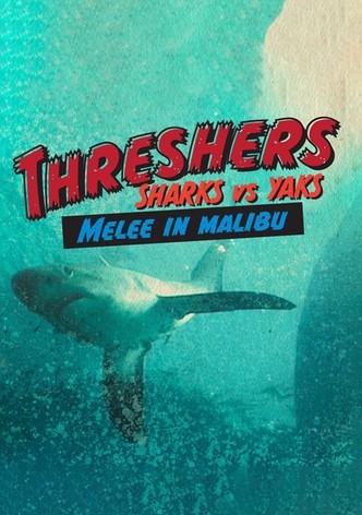 Threshers: Sharks vs. Yaks, Melee in Malibu
