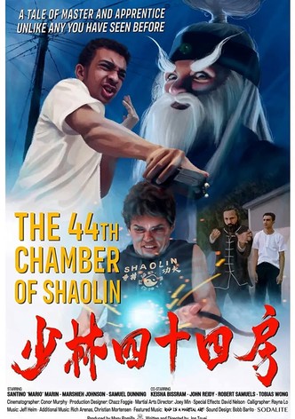 The 44th Chamber of Shaolin
