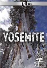 Nature: Yosemite